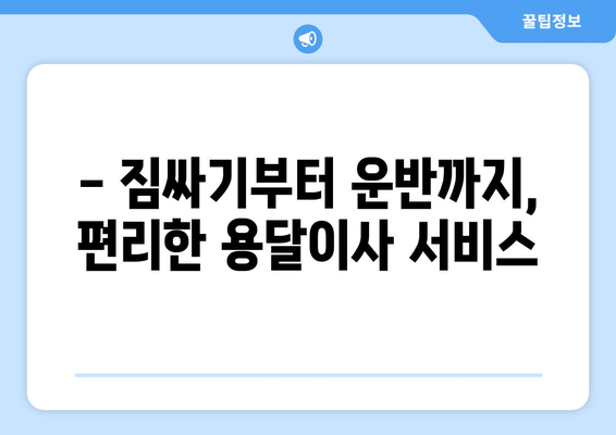 대구 서구 내당1동 용달이사 전문 업체 추천 | 저렴하고 안전한 이사, 지금 바로 상담하세요!