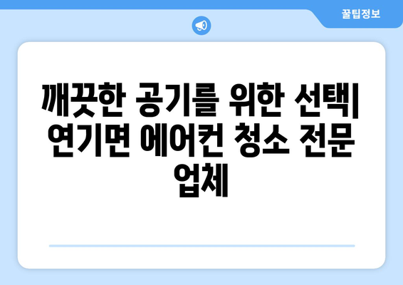 세종시 연기면 에어컨 청소 전문 업체 추천 | 에어컨 청소, 세종시 에어컨 청소, 연기면 에어컨 청소, 에어컨 관리