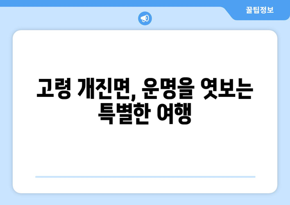 경상북도 고령군 개진면 사주| 지역 특징과 유명한 사주 명소 | 고령군, 개진면, 사주, 운세, 점집