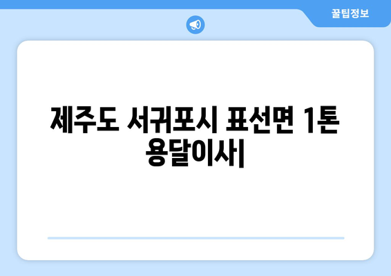 제주도 서귀포시 표선면 1톤 용달이사| 저렴하고 안전한 이사, 지금 바로 비교견적 받아보세요! | 용달 이사, 가격 비교, 이사짐센터, 1톤 트럭