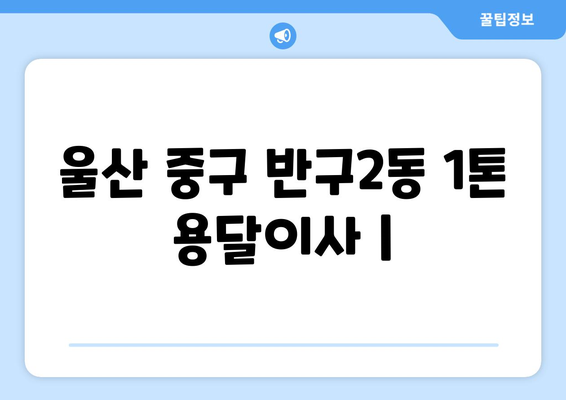 울산 중구 반구2동 1톤 용달이사 | 가격 비교 & 업체 추천 | 울산 용달, 이삿짐센터, 저렴한 이사