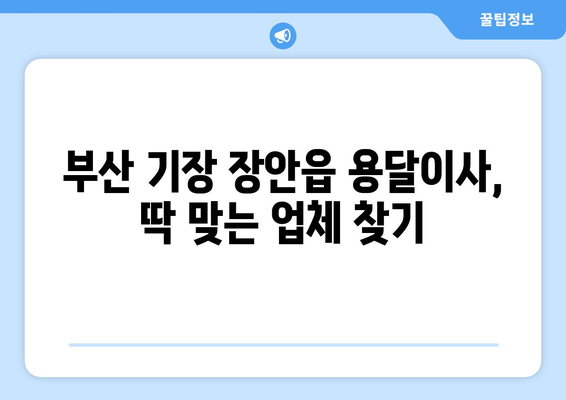 부산 기장 장안읍 용달이사, 어디에 맡겨야 할까요? | 용달 이사 비용, 업체 추천, 주의 사항