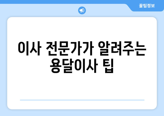 부산 동래구 안락1동 용달이사 전문 업체 비교 가이드 | 이삿짐센터 추천, 가격 비교, 견적 문의