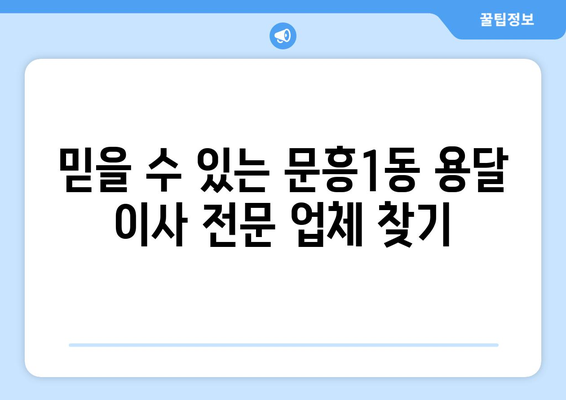 광주 북구 문흥1동 용달이사 전문 업체 추천 | 저렴하고 안전한 이사, 지금 바로 확인하세요!