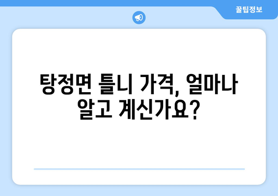 충청남도 아산시 탕정면 틀니 가격 비교 가이드 | 틀니 종류, 가격 정보, 추천 팁