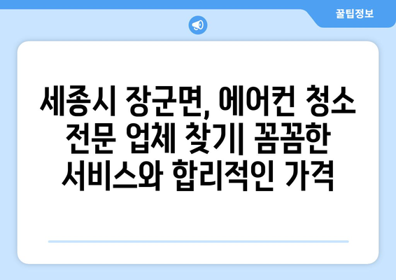 세종시 장군면 에어컨 청소 전문 업체 추천 | 세종특별자치시, 에어컨 청소, 냉난방, 가전 관리, 쾌적한 실내 환경