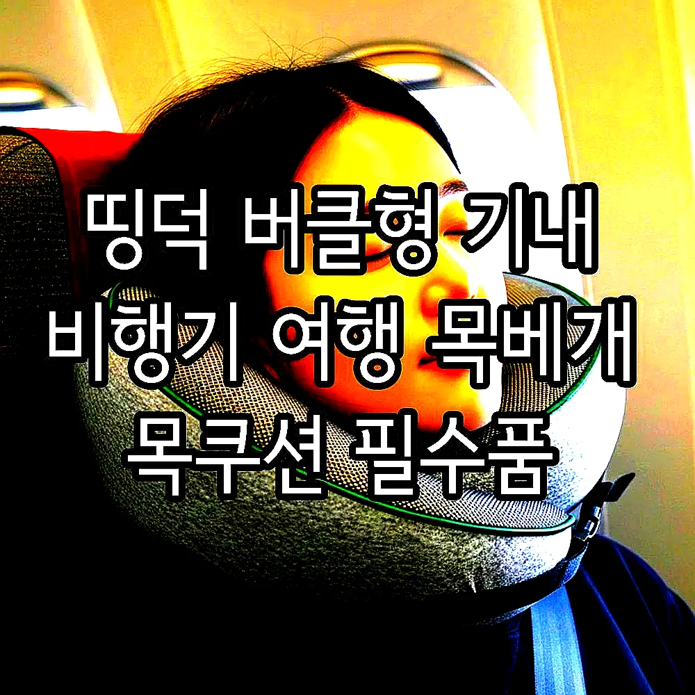 띵덕 버클형 기내 비행기 여행 목베개 목쿠션 필수품 이미지 1 띵덕 버클형 기내 비행기 여행 목베개 목쿠션 필수품 이미지 1
