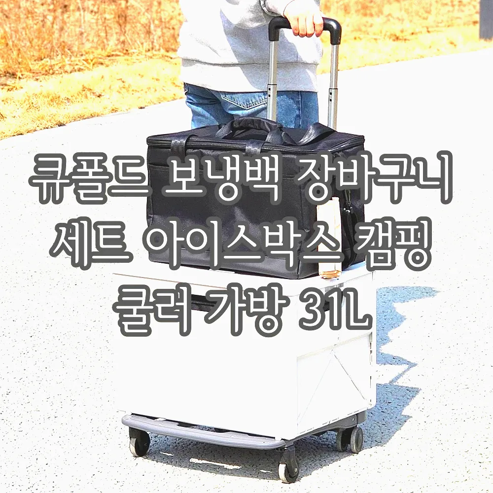 큐폴드 보냉백 장바구니 세트 아이스박스 캠핑 쿨러 가방 31L 이미지 7 큐폴드 보냉백 장바구니 세트 아이스박스 캠핑 쿨러 가방 31L 이미지 7
