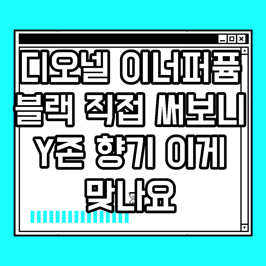 디오넬 이너퍼퓸 블랙 직접 써보니 Y존 향기 이게 맞나요 썸네일